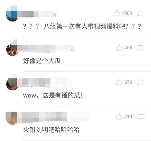 扒皮爆料图片大全集视频,揭秘网络真相与隐私边界